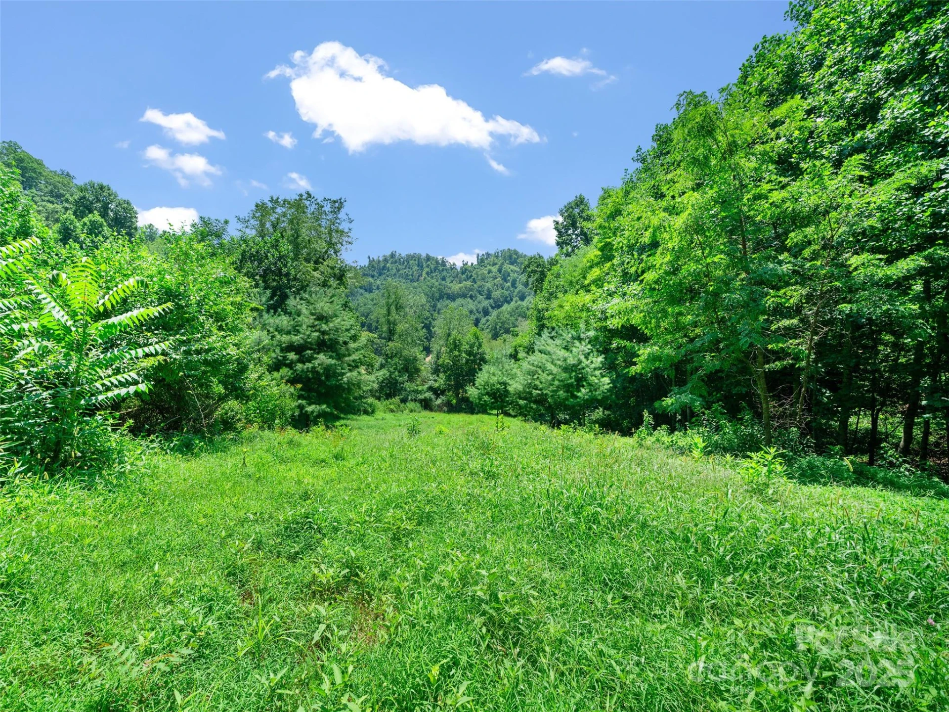 1377 Langford Branch Road - Photo 4