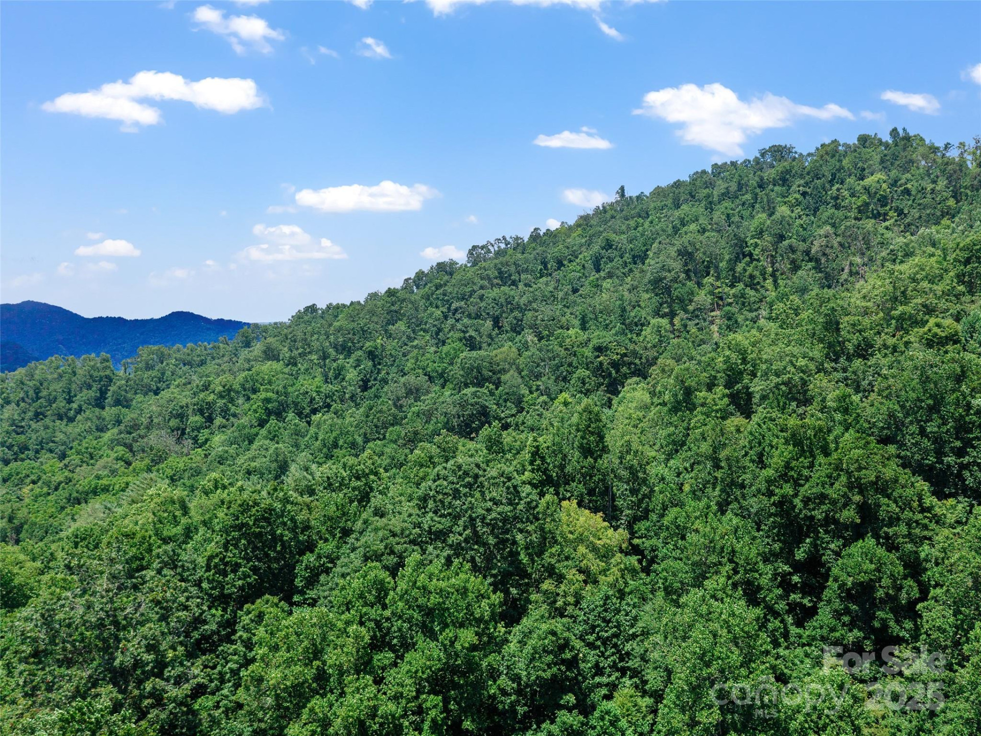 1377 Langford Branch Road - Photo 34