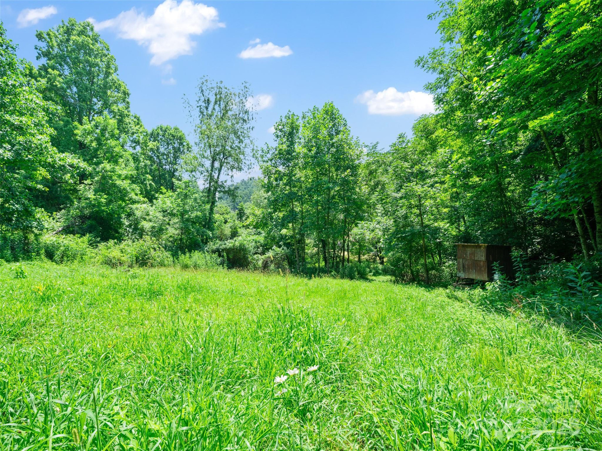 1377 Langford Branch Road - Photo 5