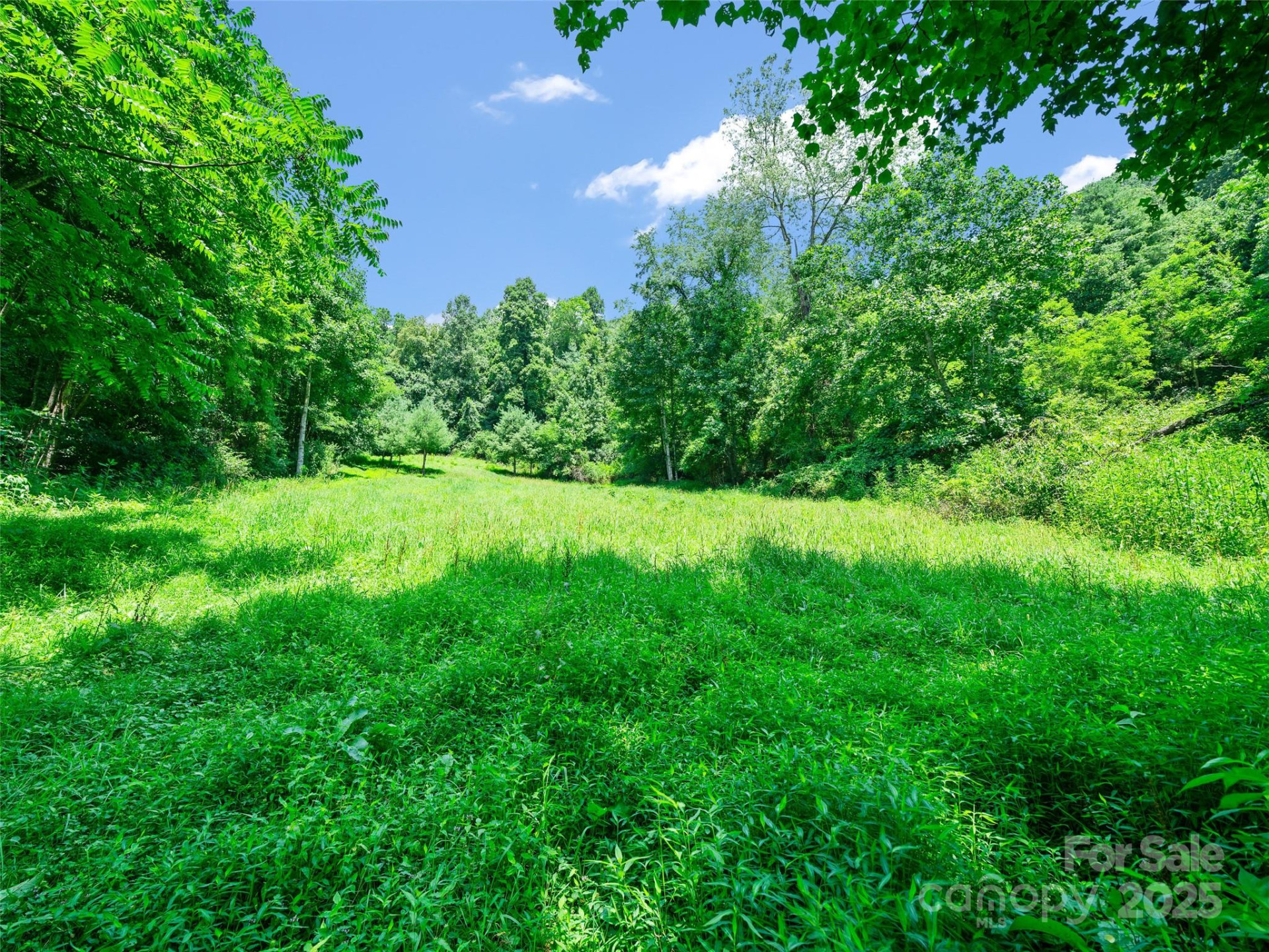1377 Langford Branch Road - Photo 6