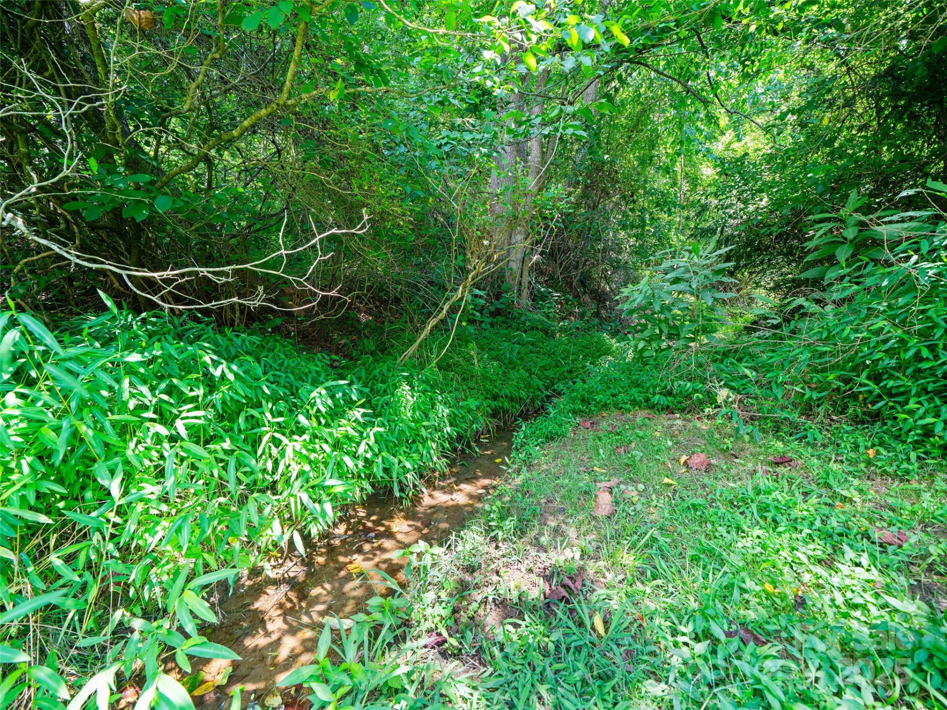 1377 Langford Branch Road - Photo 7