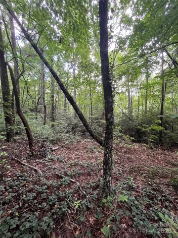 000 GREENLEAF Drive, Flat Rock, NC, 28731