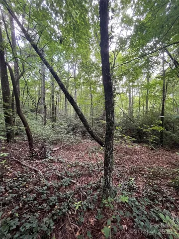 000 GREENLEAF Drive, Flat Rock, NC, 28731