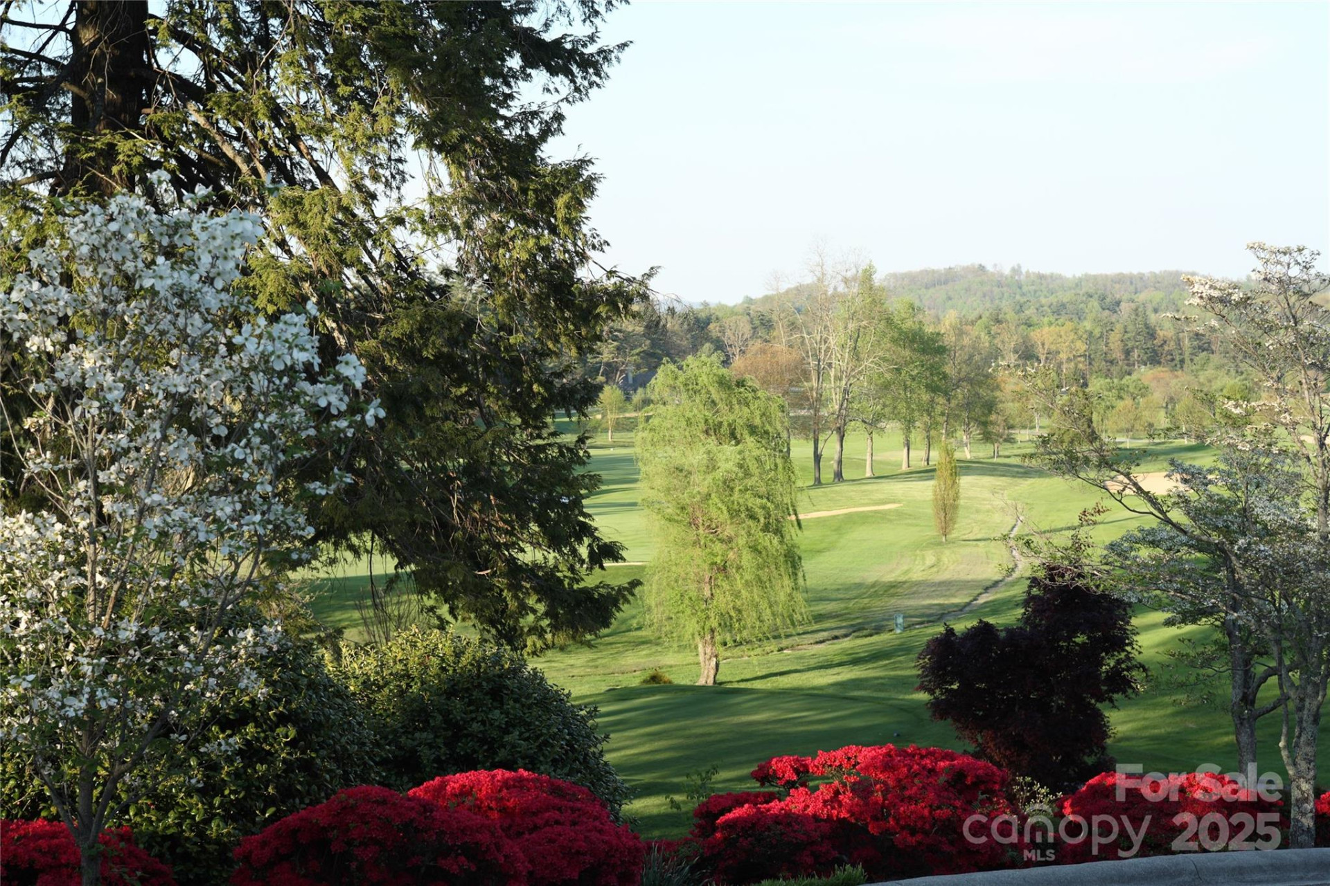 000 GREENLEAF Drive - Photo 4