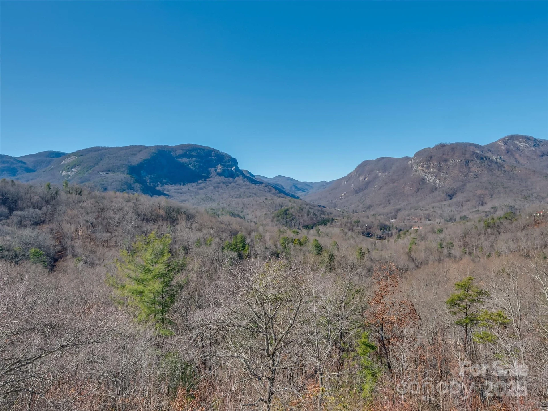 315 Thomas A Edison Road - Photo 3