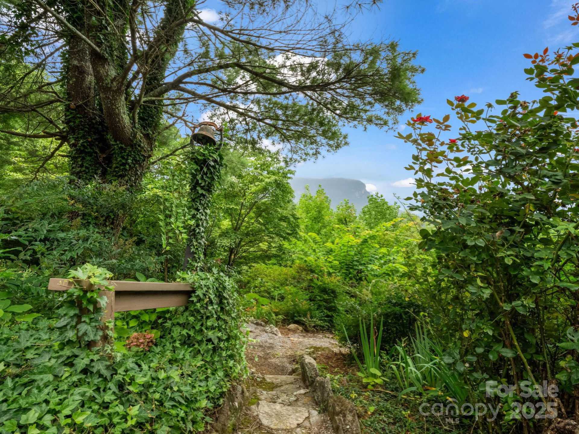 315 Thomas A Edison Road - Photo 43