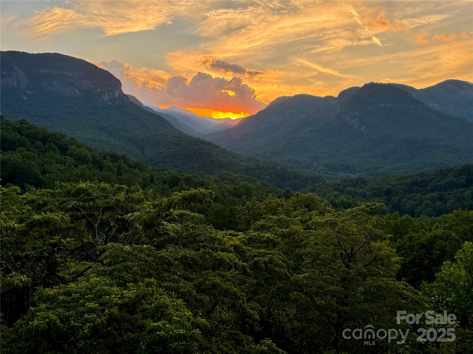 315 Thomas A Edison Road - Photo 46