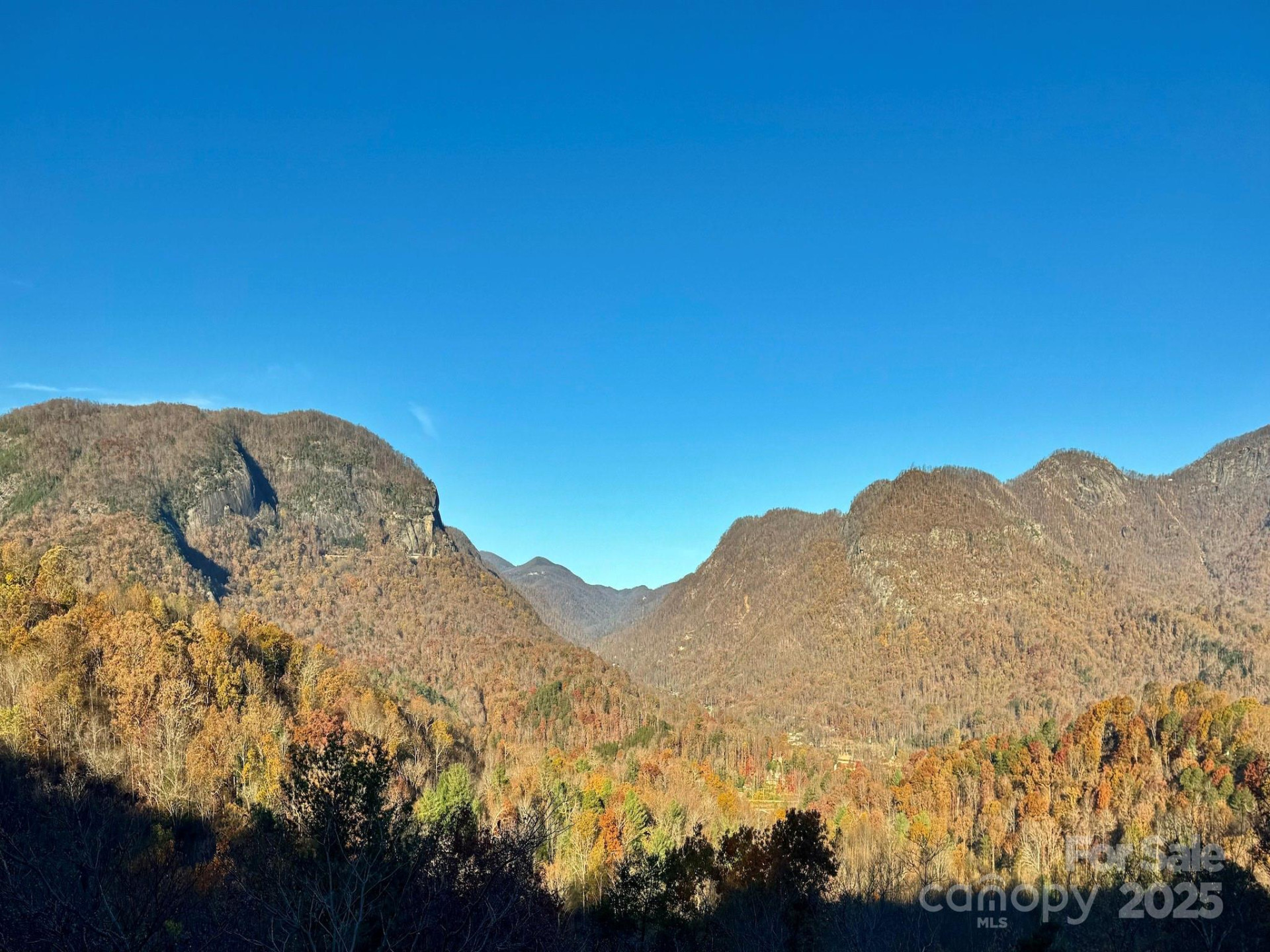 315 Thomas A Edison Road - Photo 47