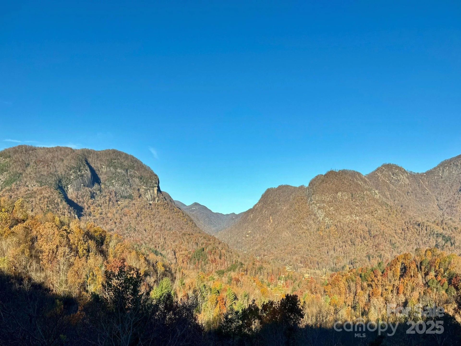 315 Thomas A Edison Road - Photo 47