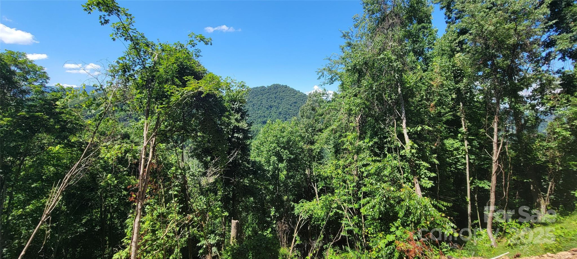 35 Destination Drive - Photo 4