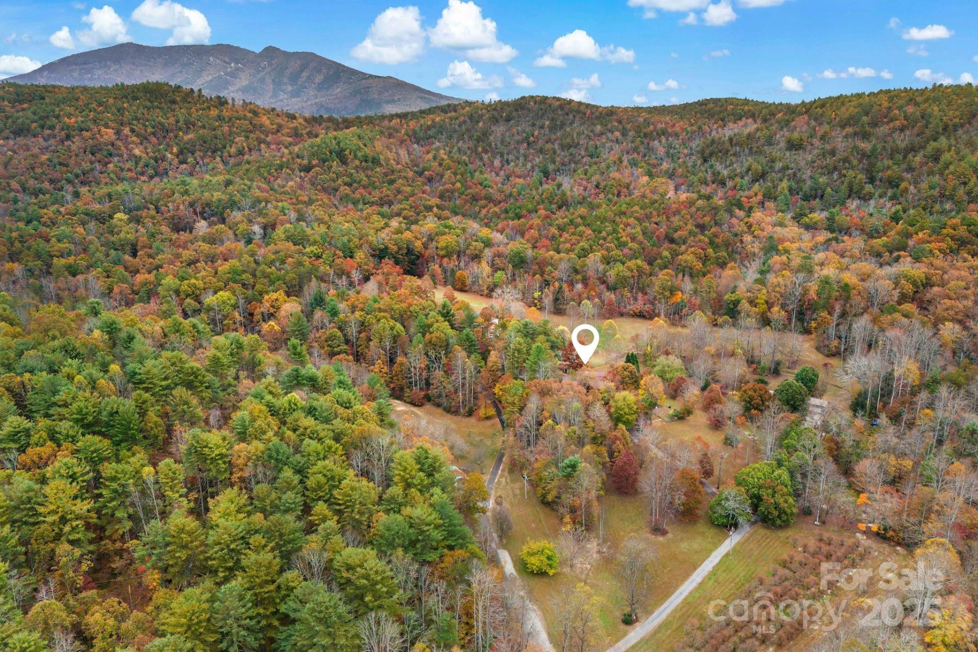 163 Gypsy Mountain Road - Photo 33