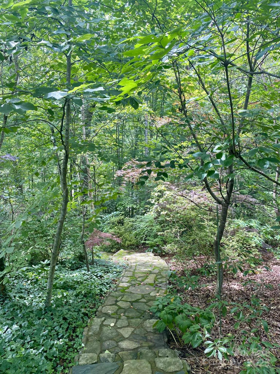 163 Gypsy Mountain Road - Photo 41