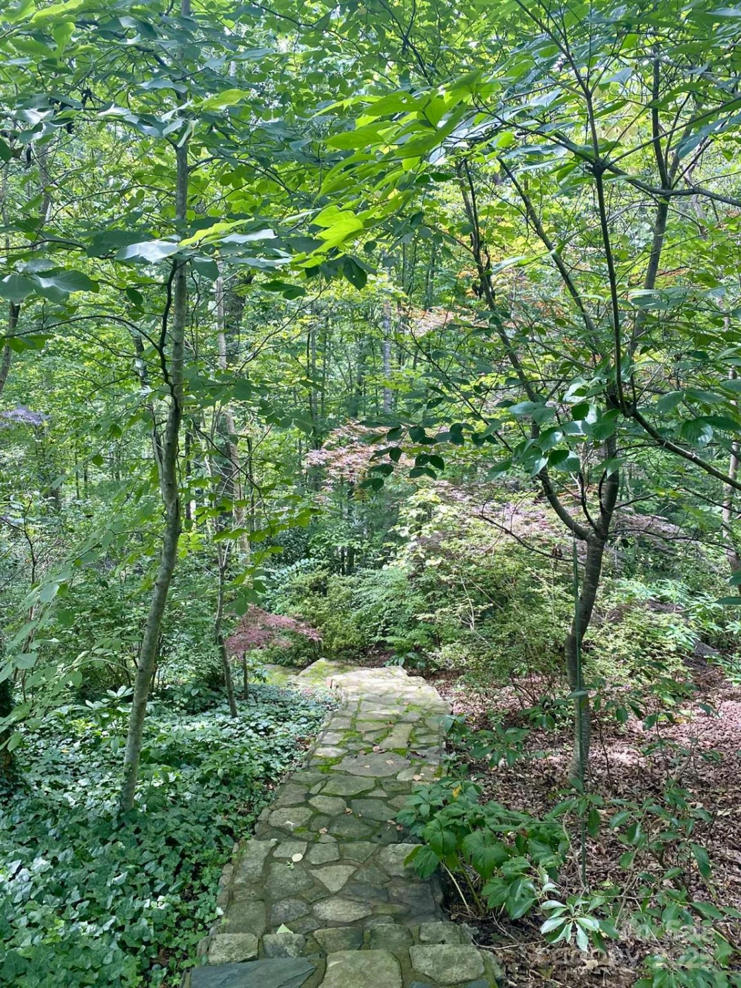 163 Gypsy Mountain Road - Photo 41