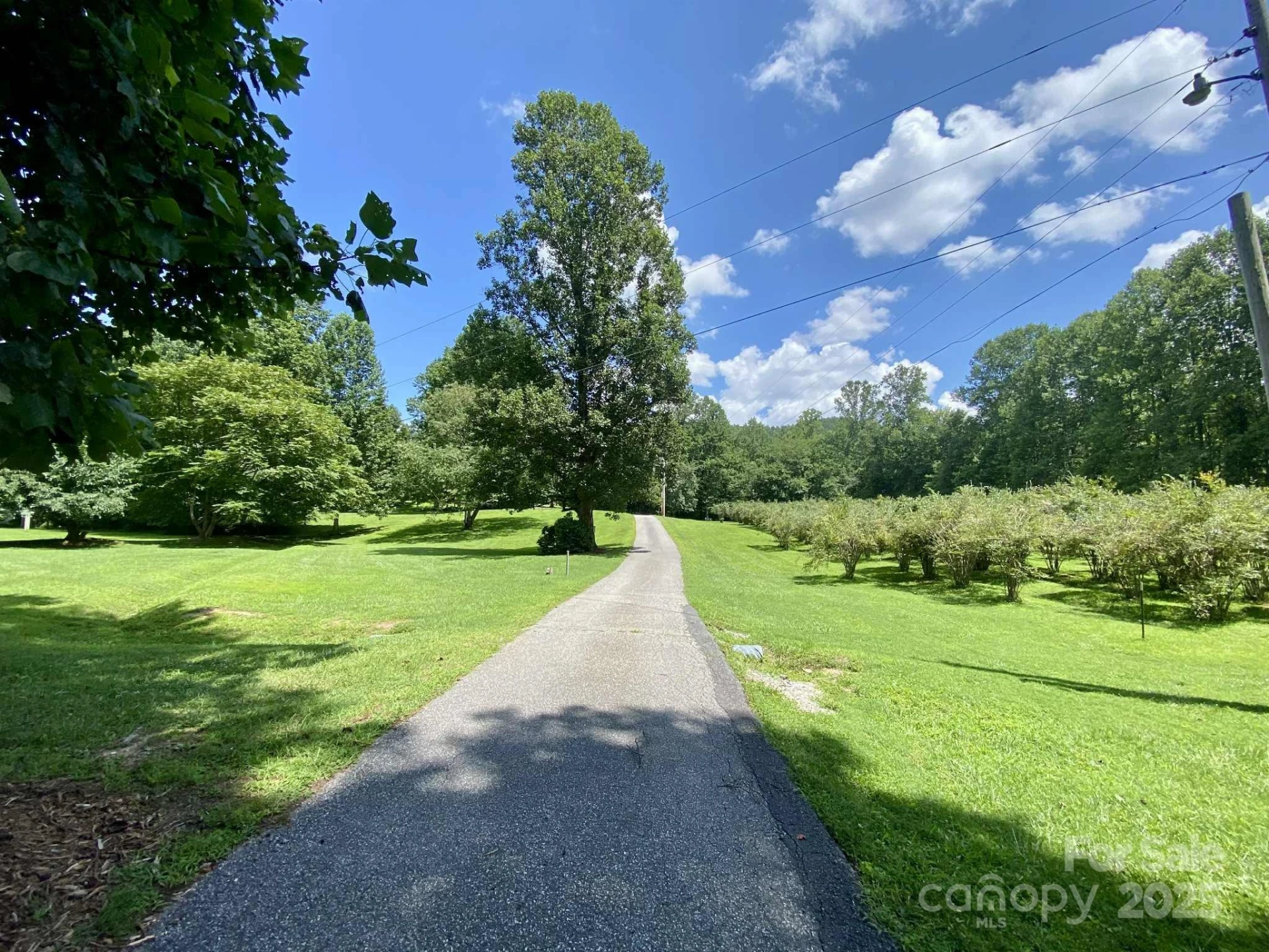 163 Gypsy Mountain Road - Photo 43