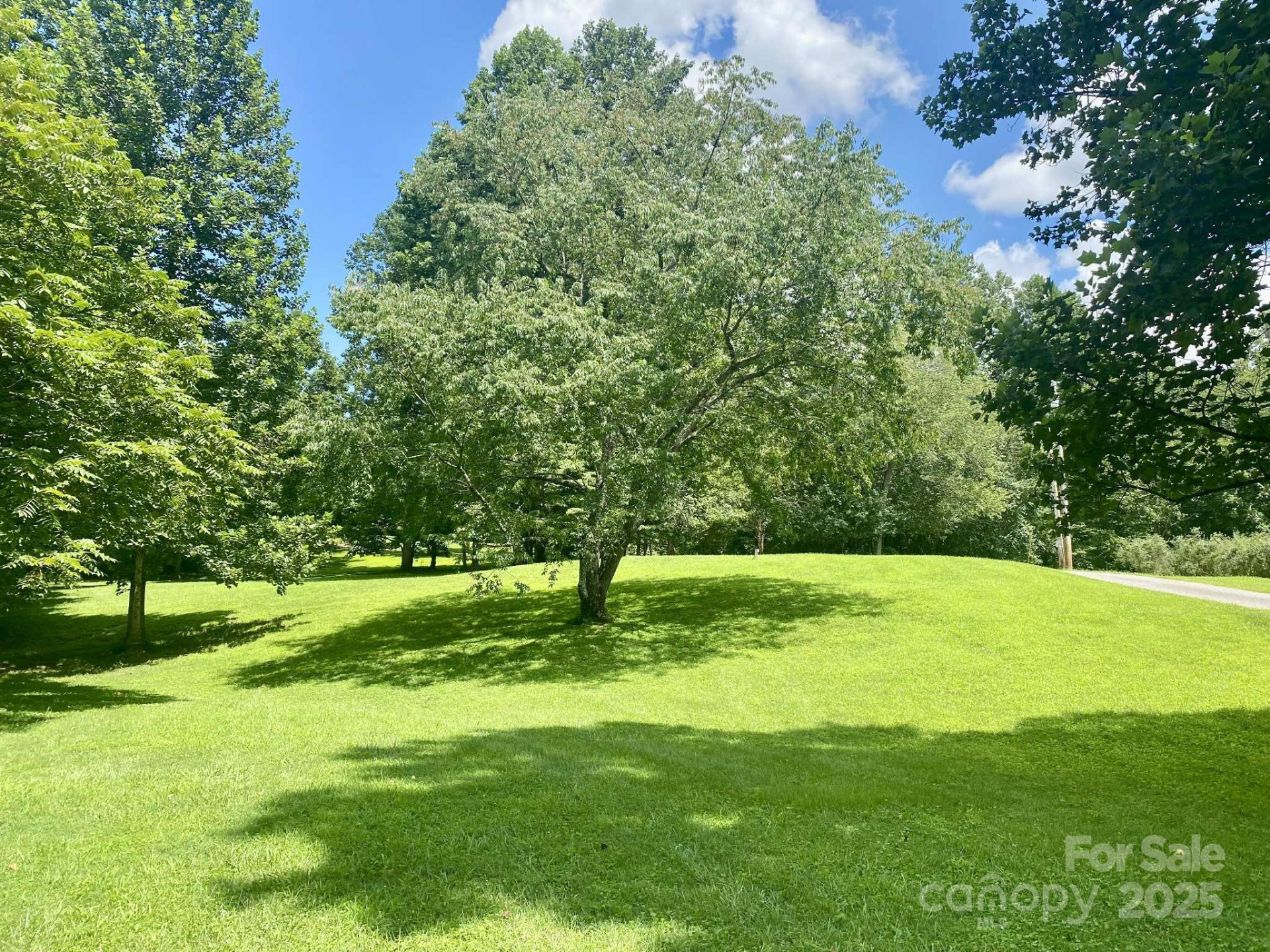 163 Gypsy Mountain Road - Photo 47