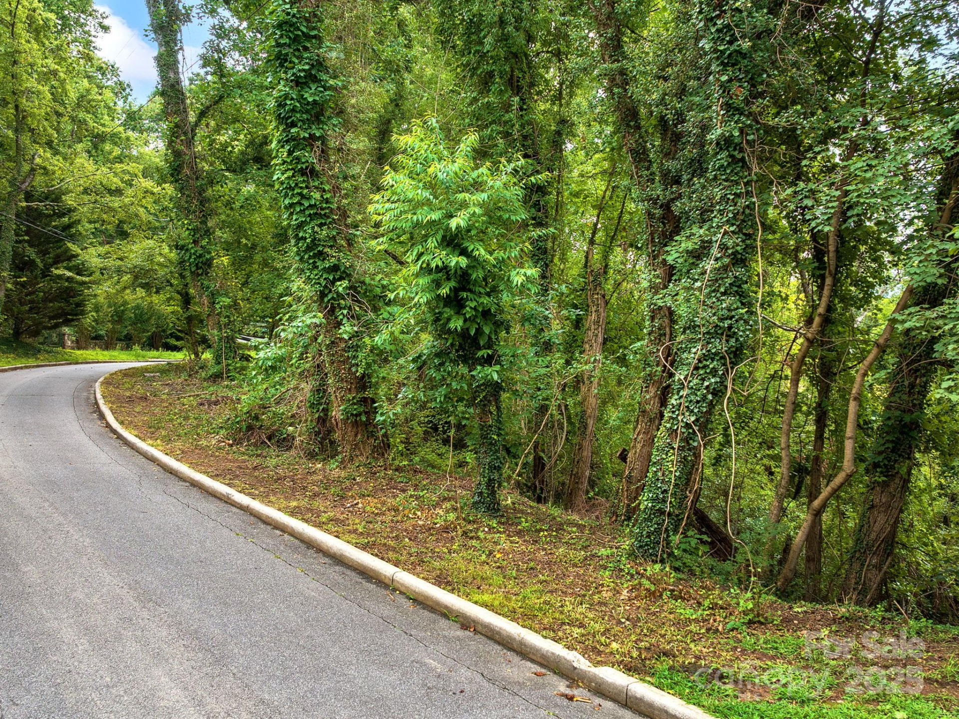 99999 Windsor Road - Photo 2