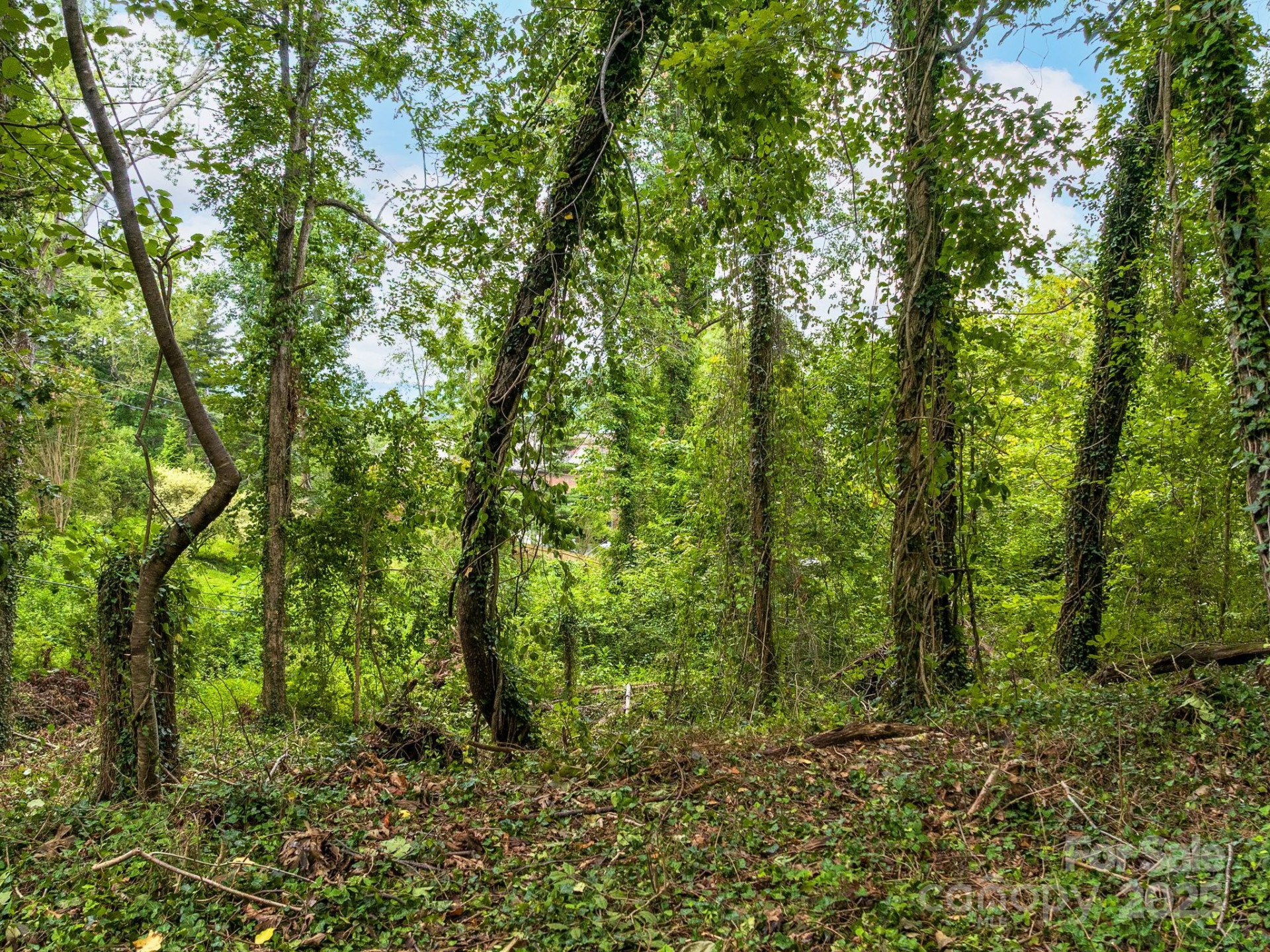 99999 Windsor Road - Photo 3