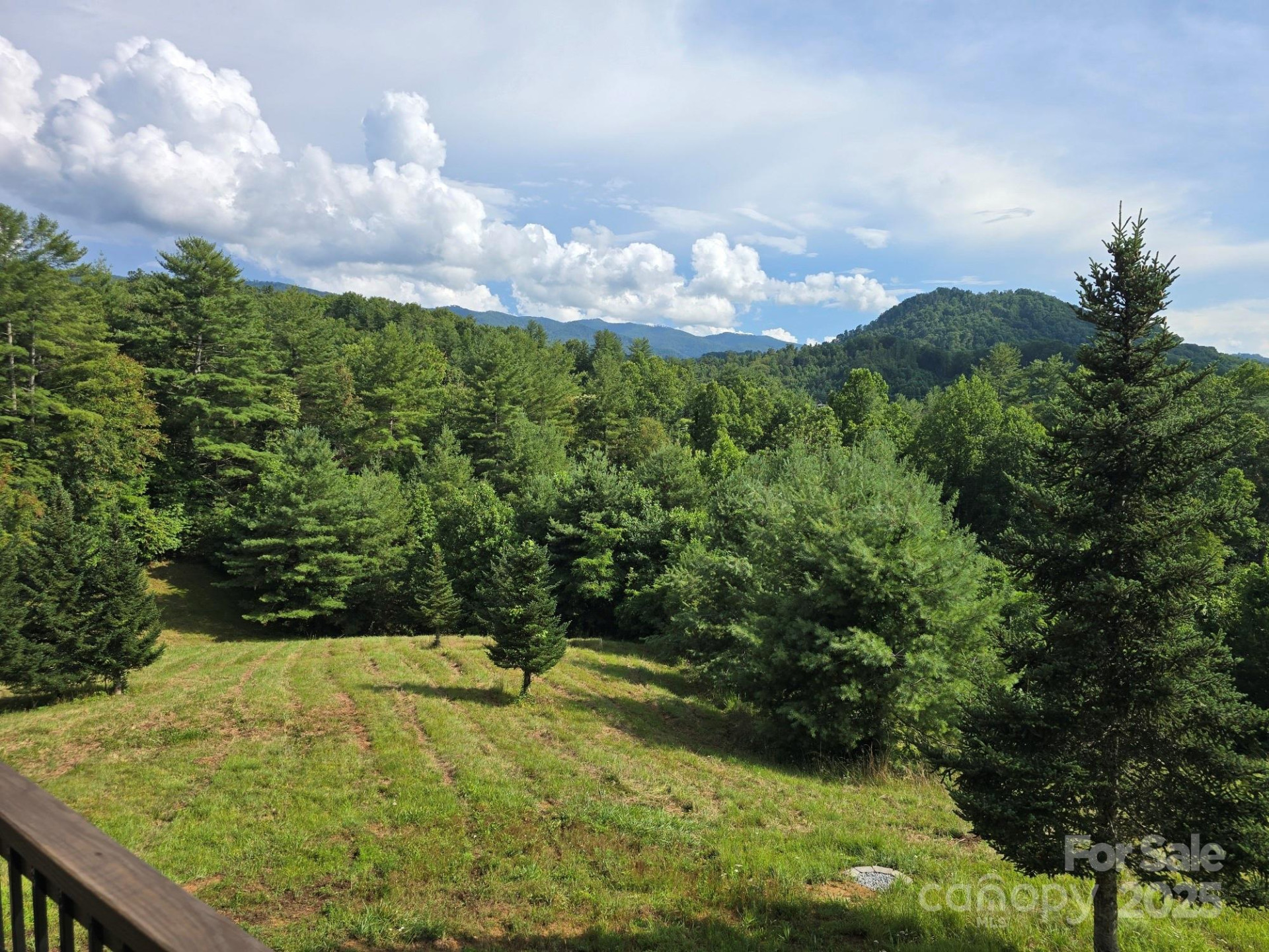 71 Banks Creek Road - Photo 16