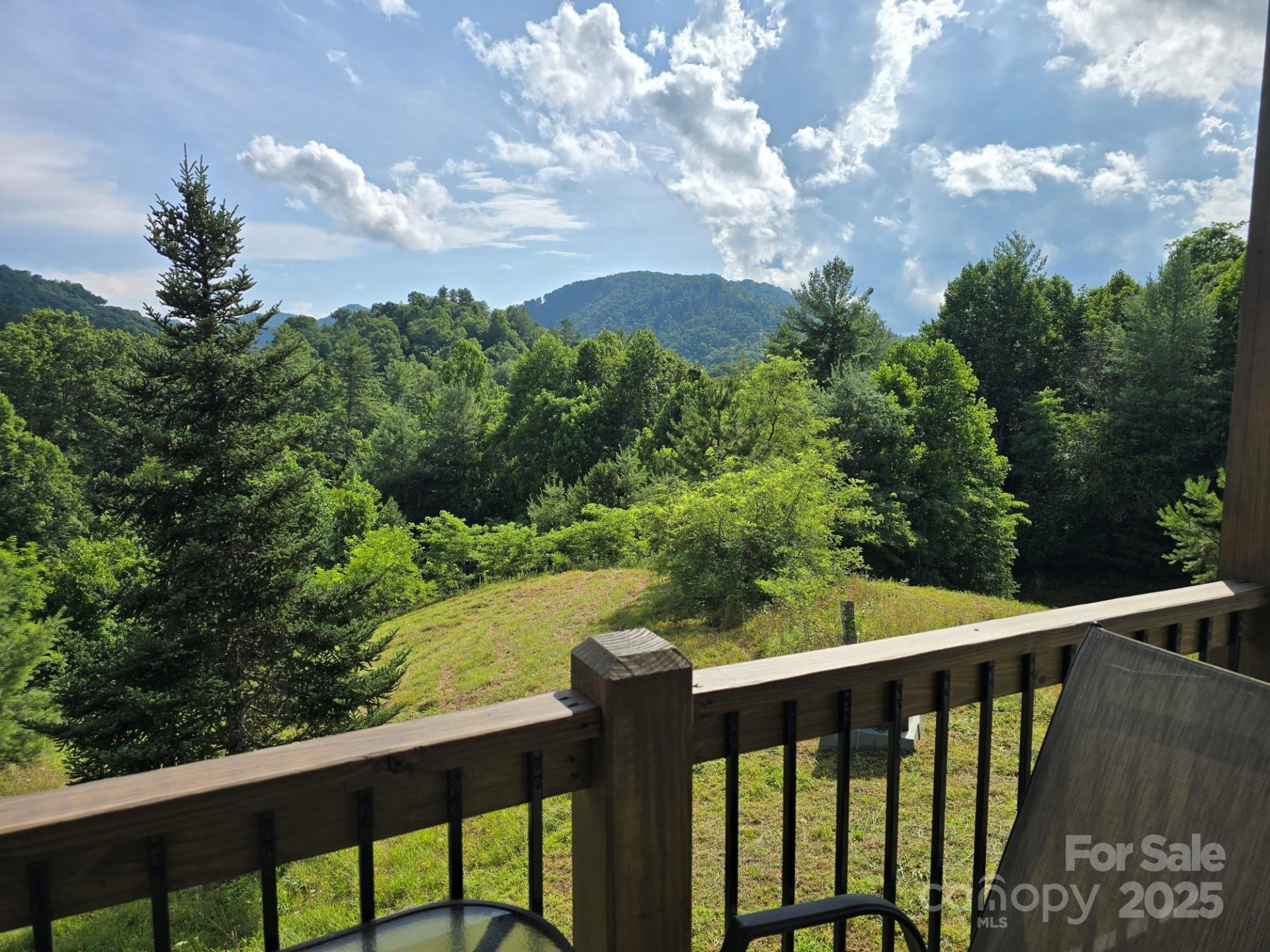 71 Banks Creek Road - Photo 17