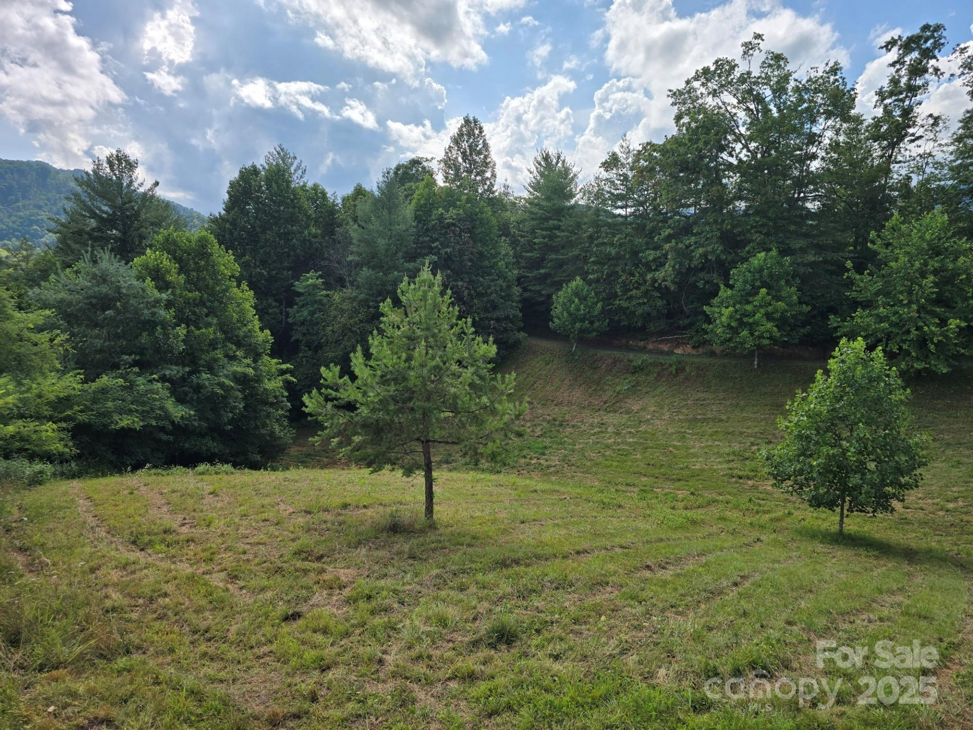 71 Banks Creek Road - Photo 18