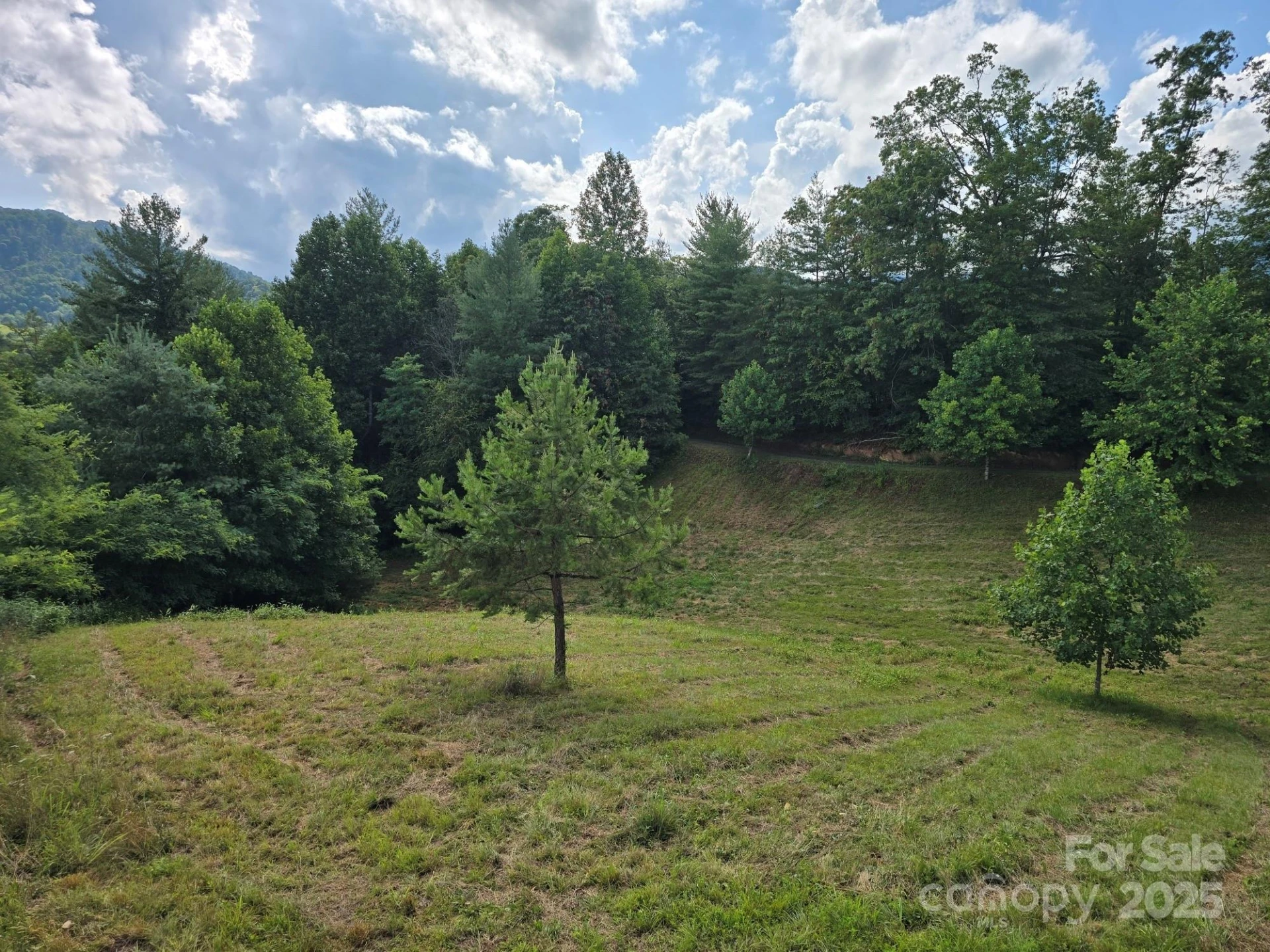 71 Banks Creek Road - Photo 18