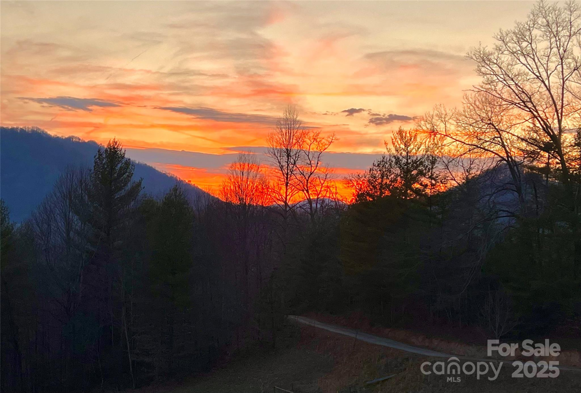 71 Banks Creek Road - Photo 20