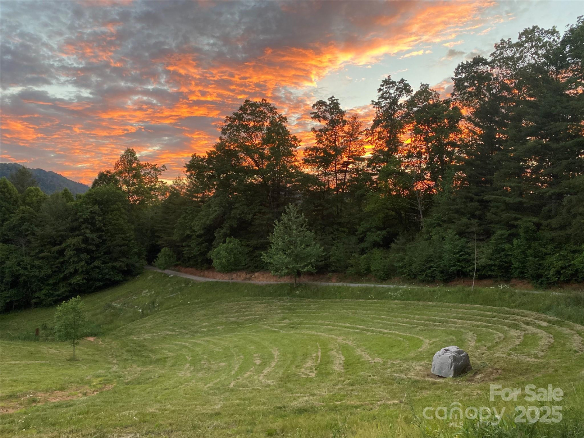 71 Banks Creek Road - Photo 21