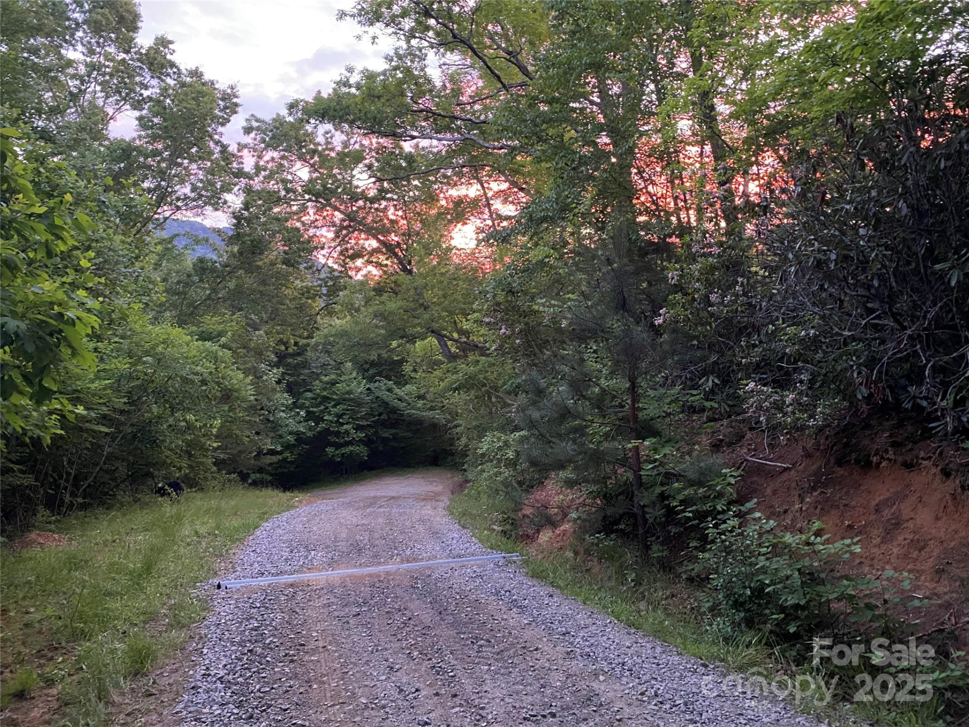 71 Banks Creek Road - Photo 22