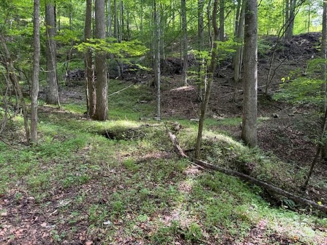 0 Cane Mountain Lane