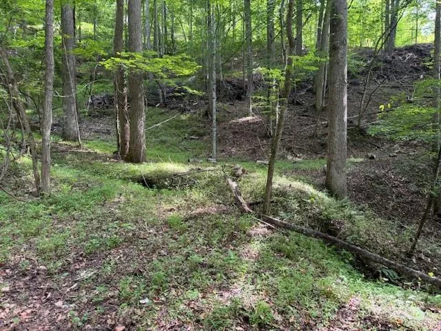 0 Cane Mountain Lane, Burnsville, NC, 28714