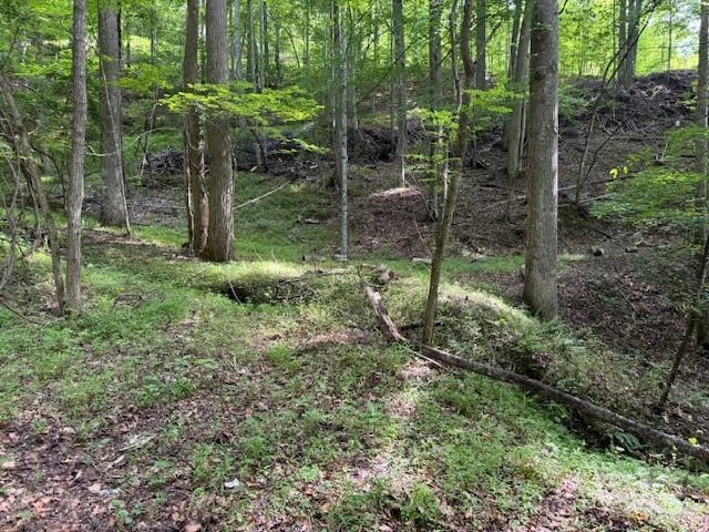 0 Cane Mountain Lane