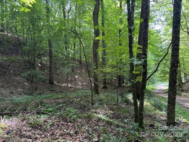 0 Cane Mountain Lane - Photo 2