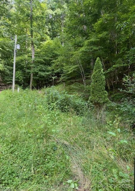 0 Cane Mountain Lane - Photo 3