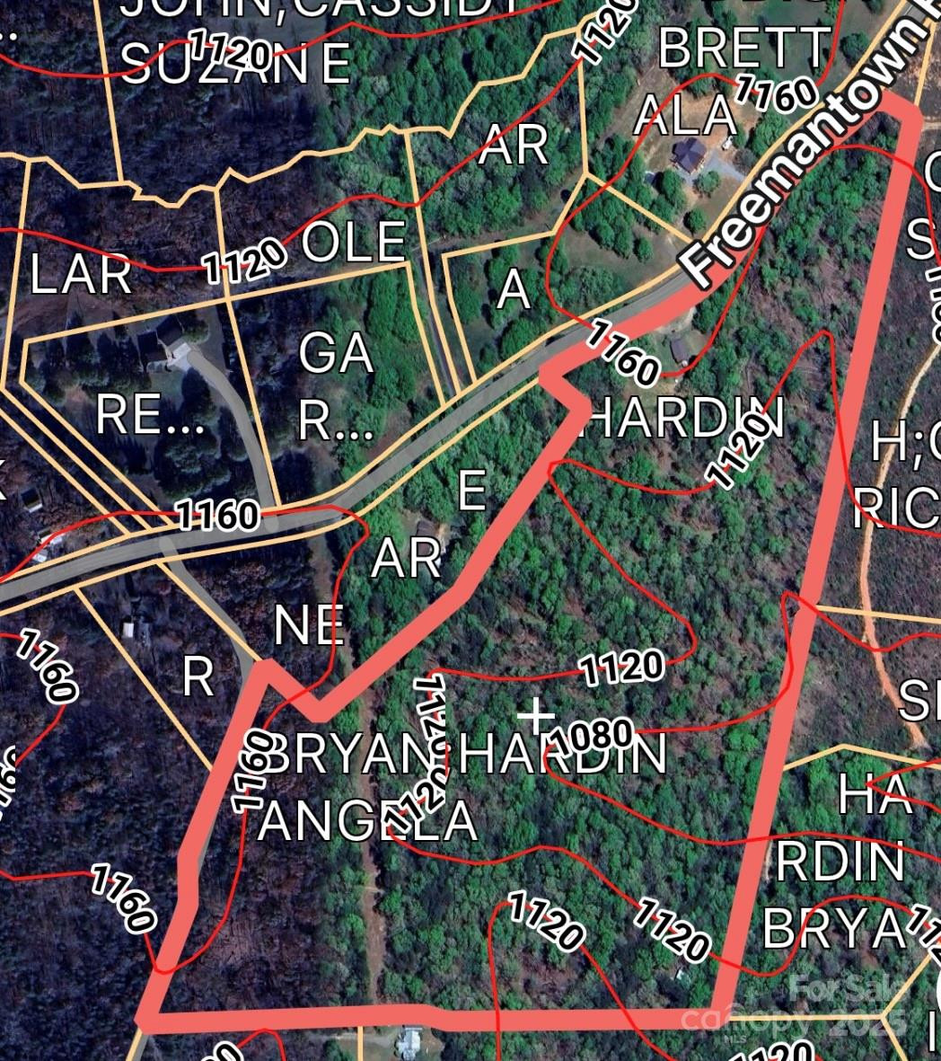 99999 Freemantown Road - Photo 3