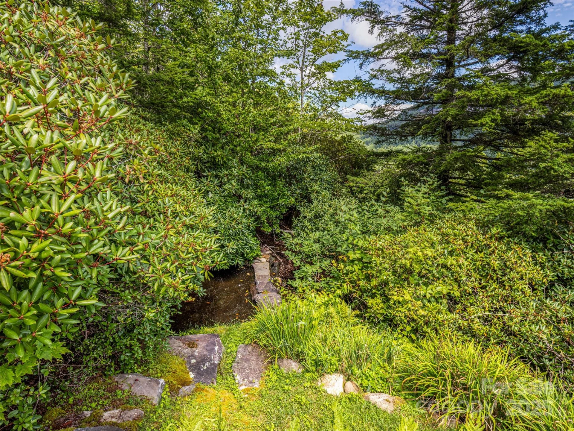 770 Meadow Ridge Drive - Photo 44