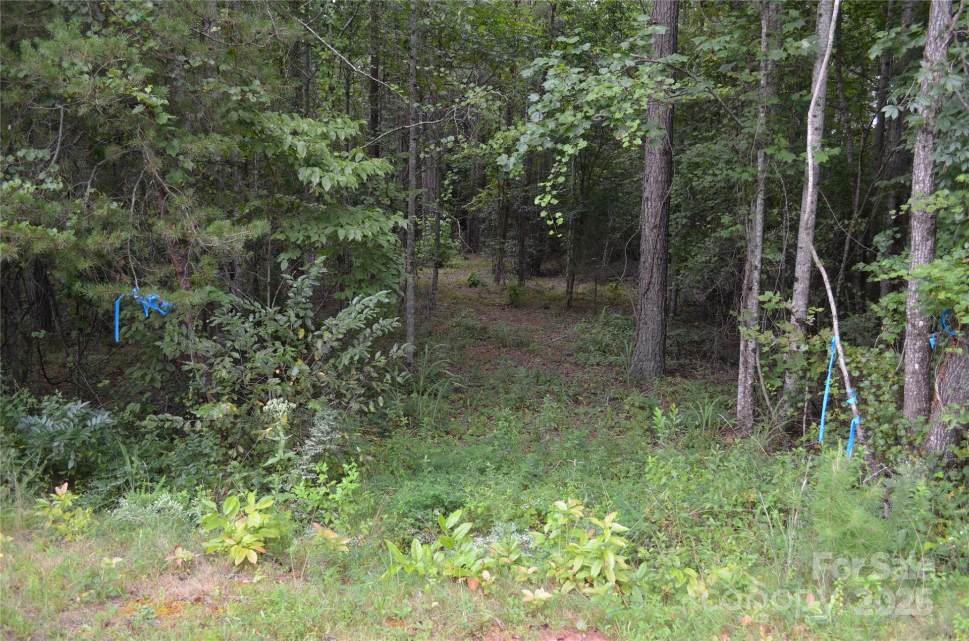0 Old Morganton Road - Photo 2