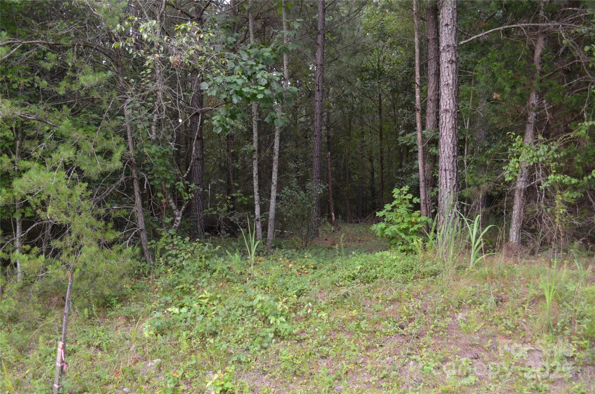 0 Old Morganton Road - Photo 11