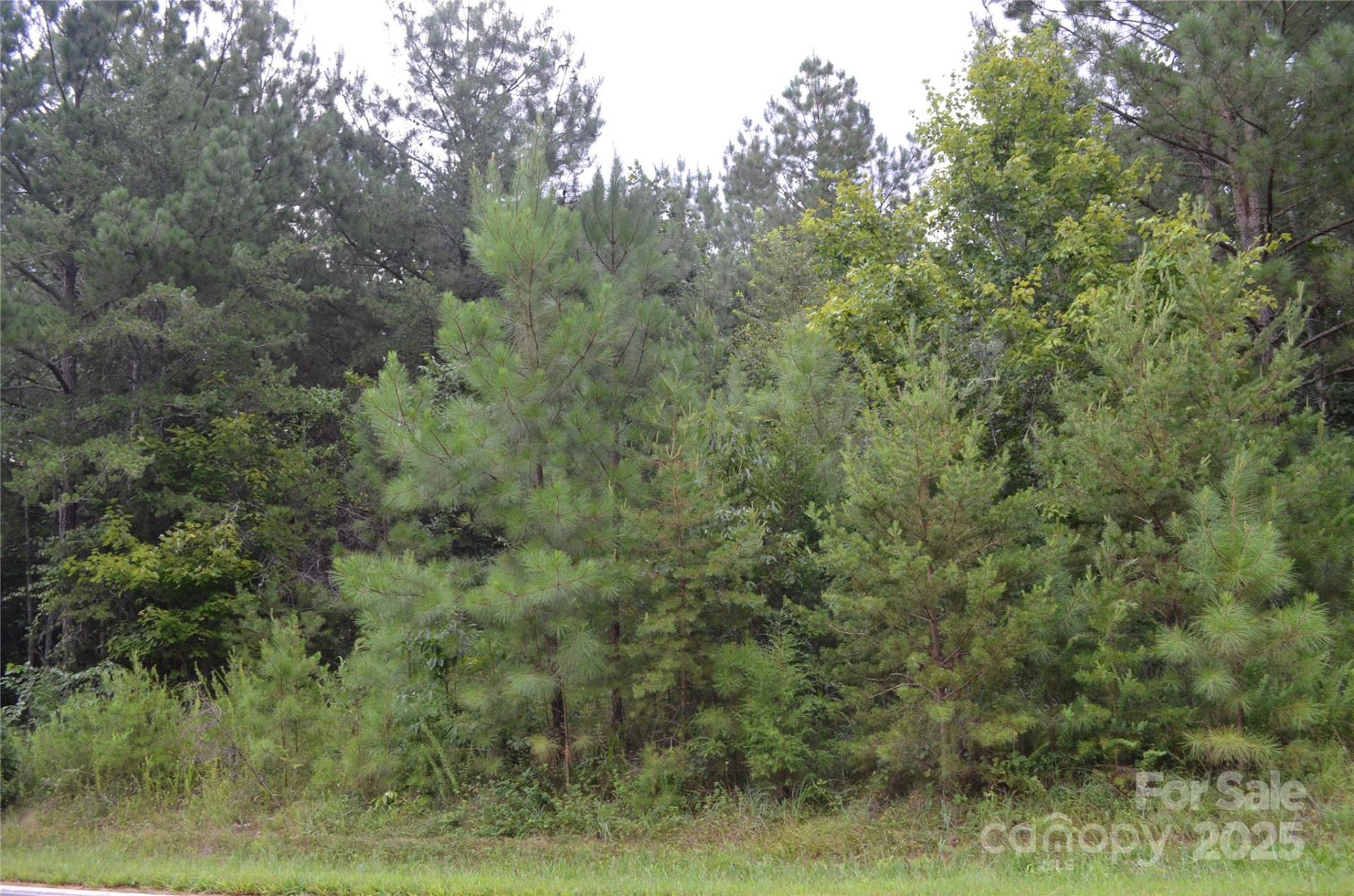 0 Old Morganton Road - Photo 12