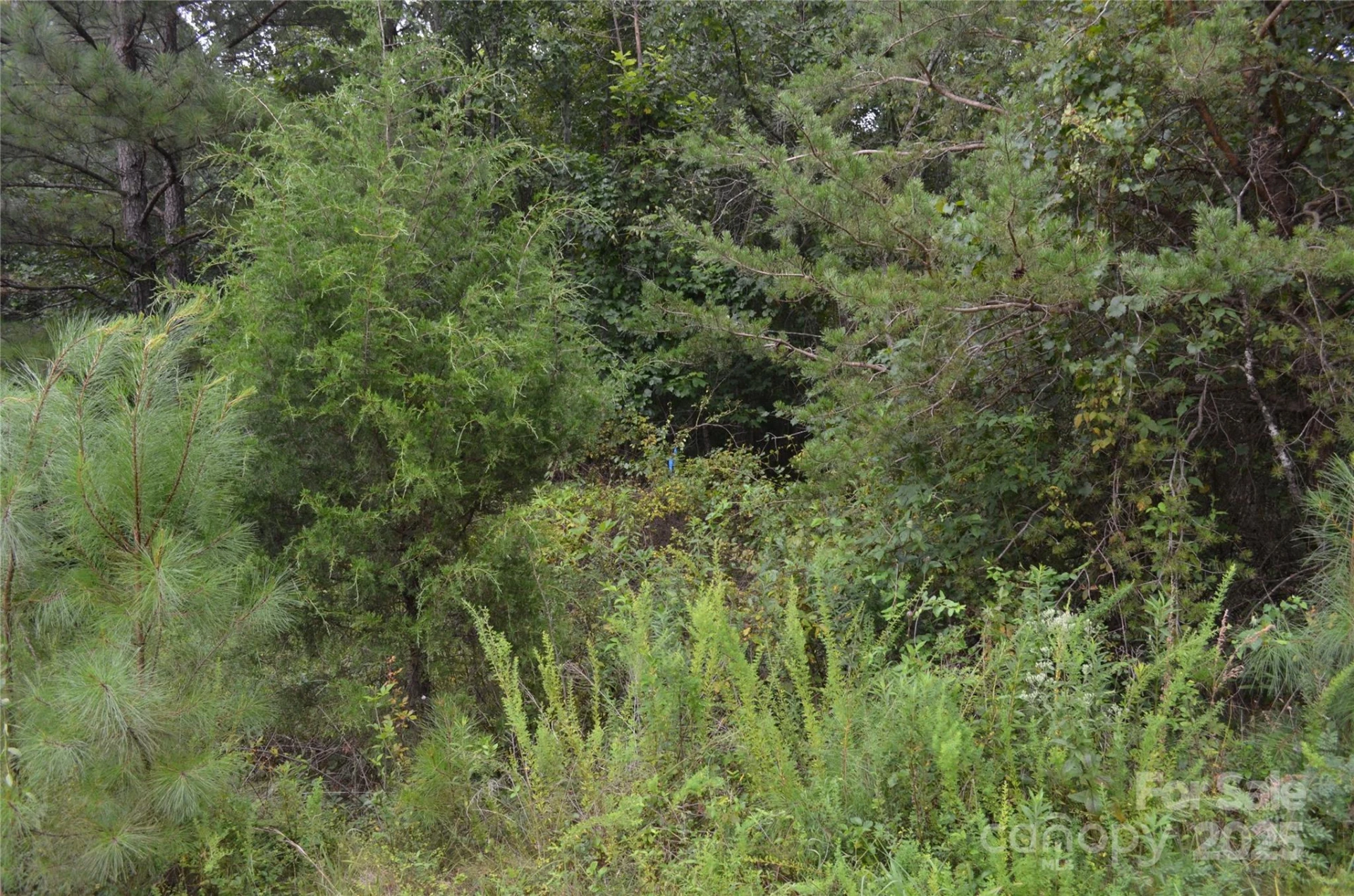 0 Old Morganton Road - Photo 13