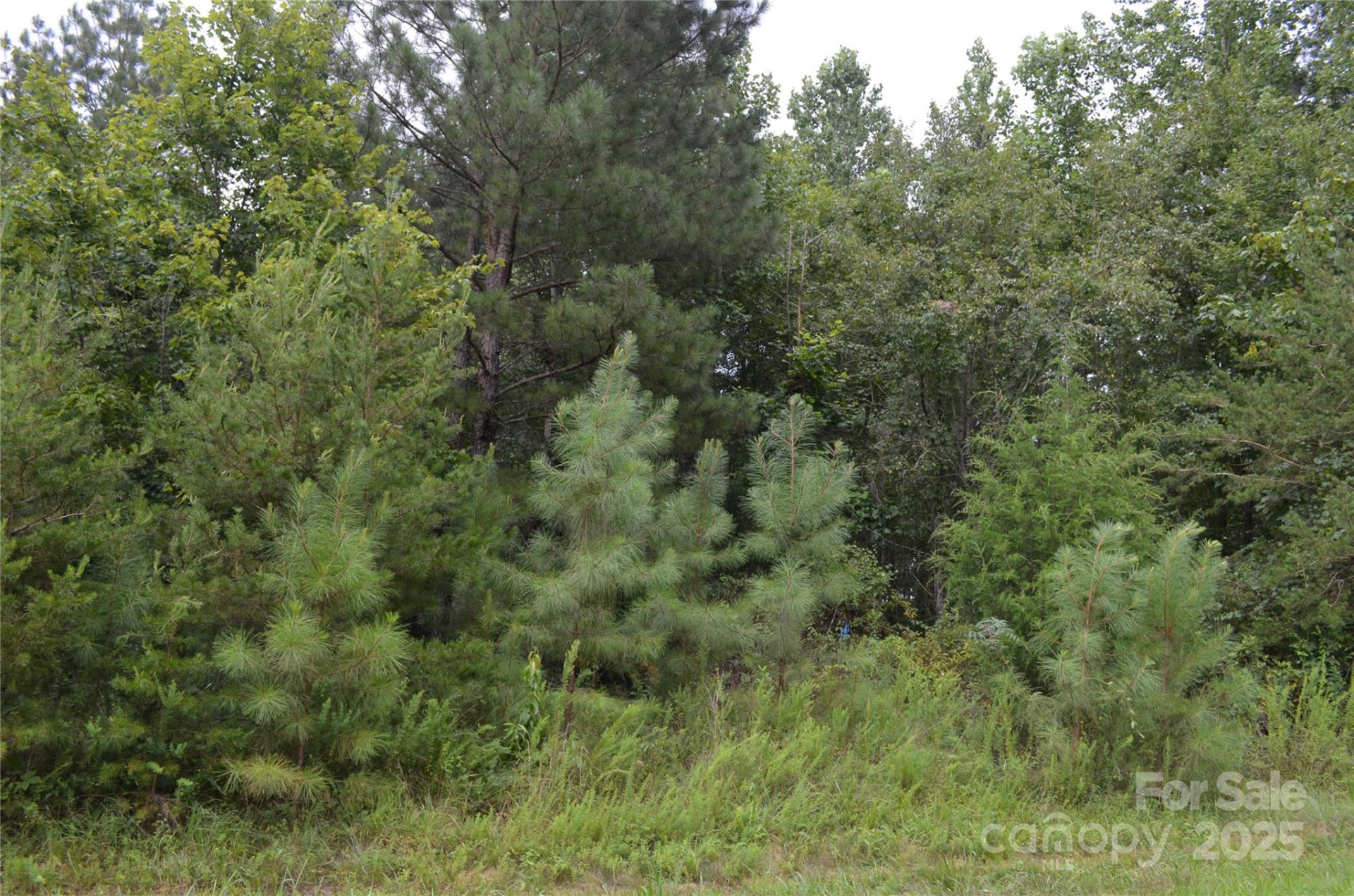 0 Old Morganton Road - Photo 15