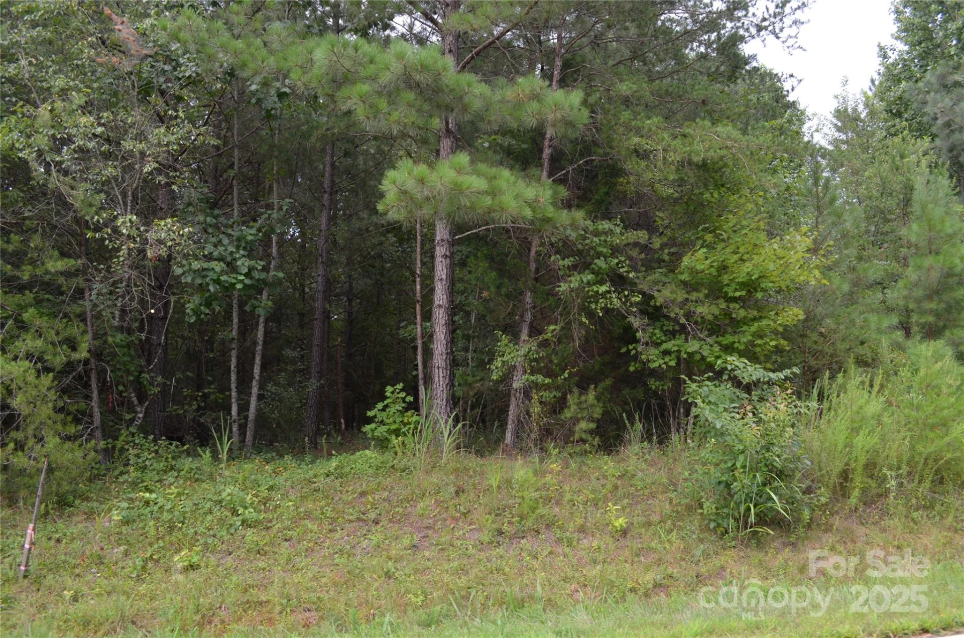 0 Old Morganton Road - Photo 4
