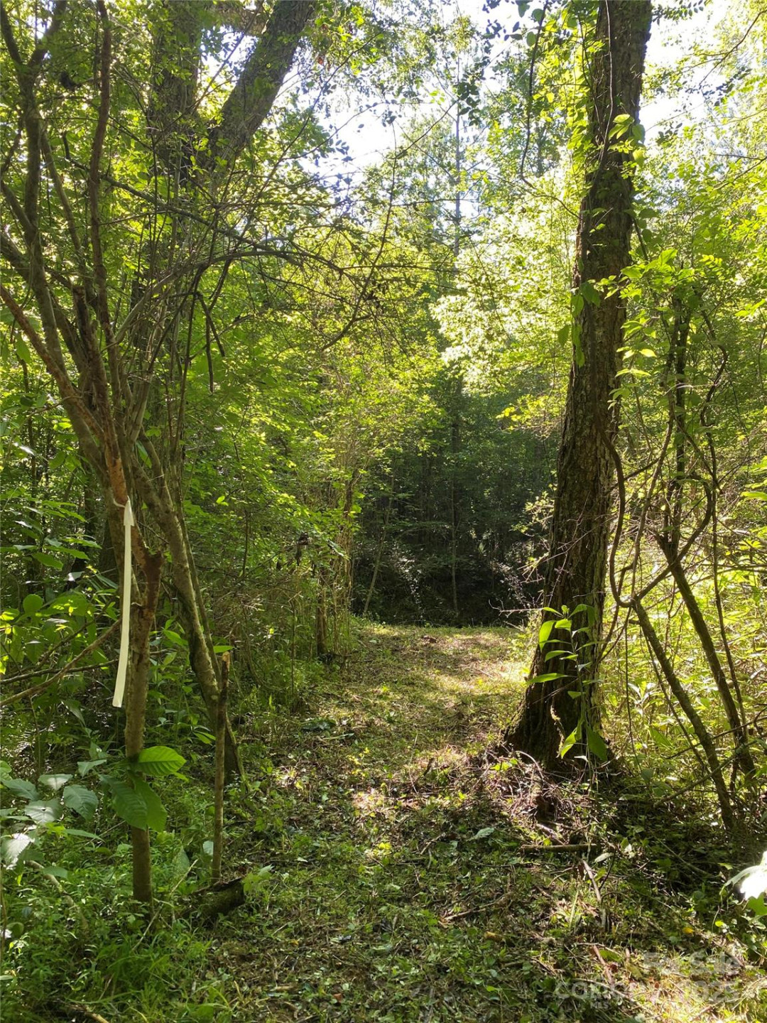 0 Old Morganton Road - Photo 5