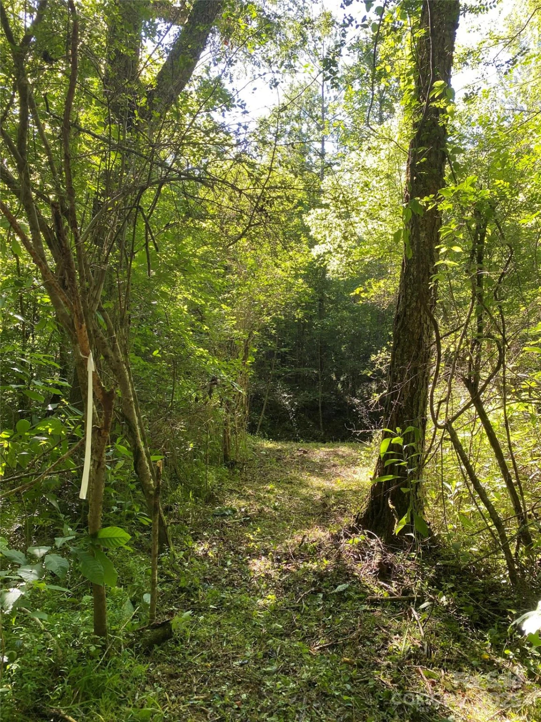 0 Old Morganton Road - Photo 5