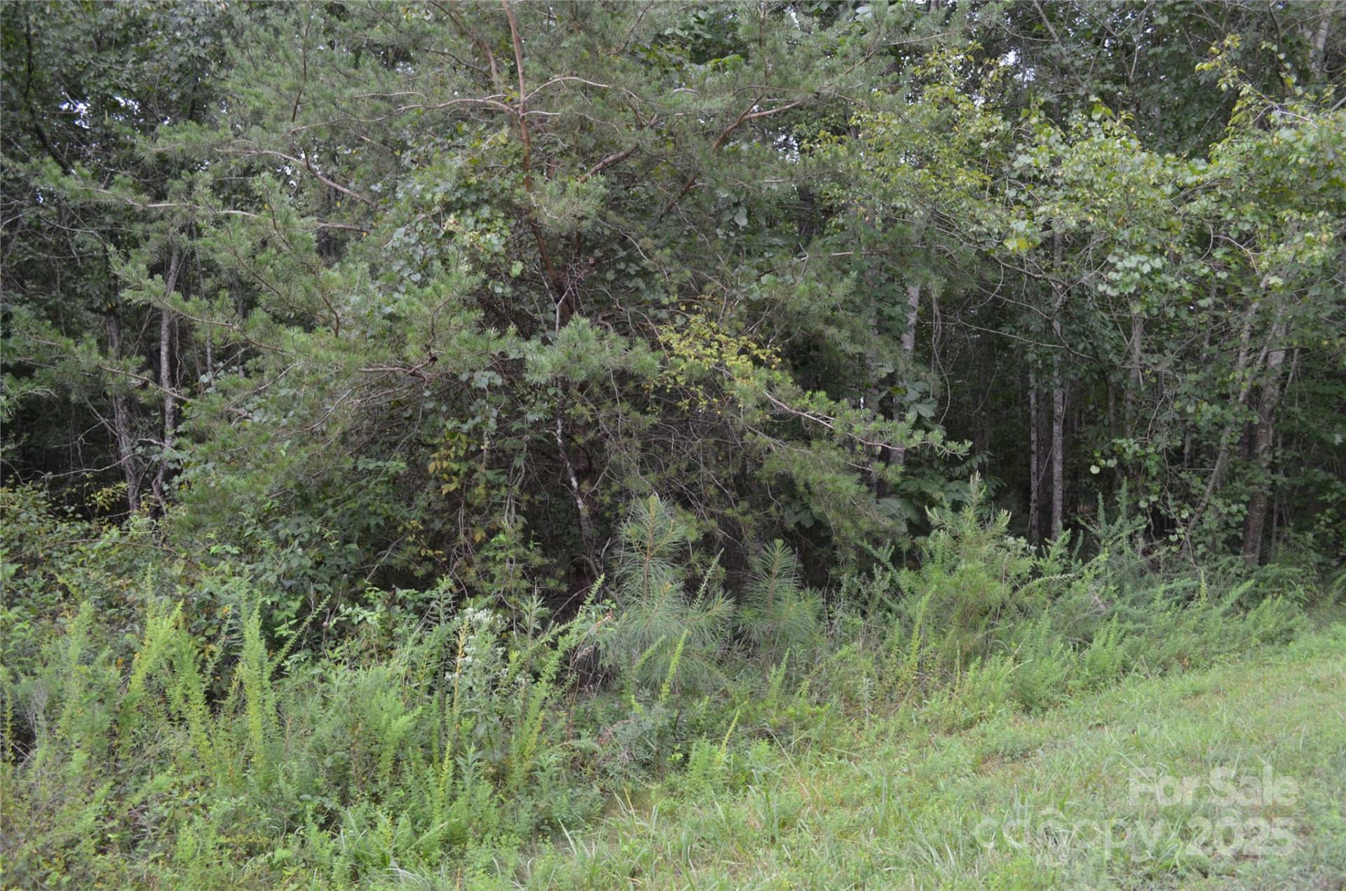 0 Old Morganton Road - Photo 6