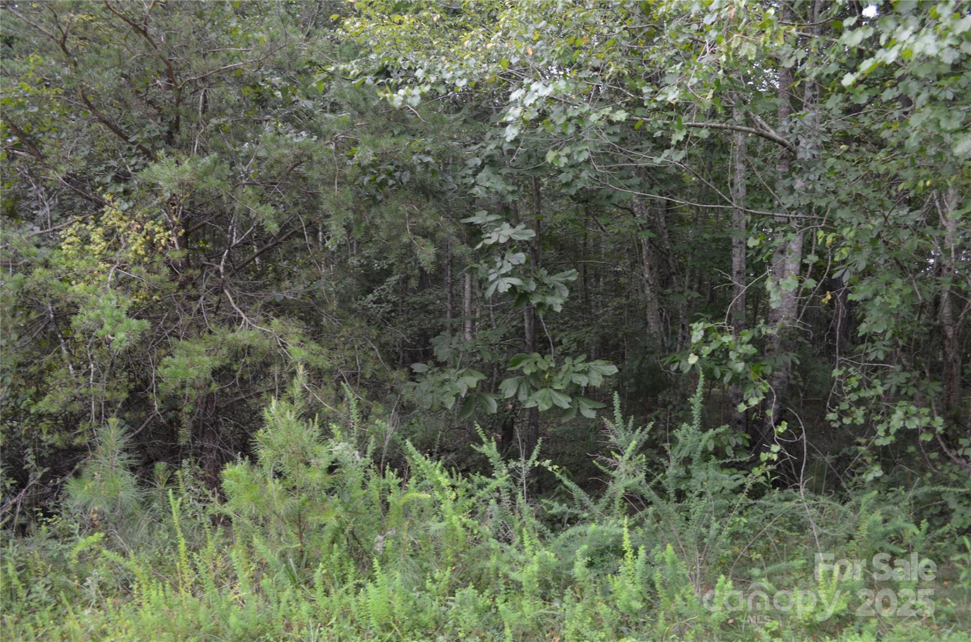 0 Old Morganton Road - Photo 7