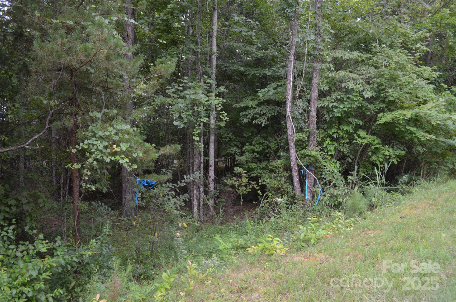 0 Old Morganton Road - Photo 8