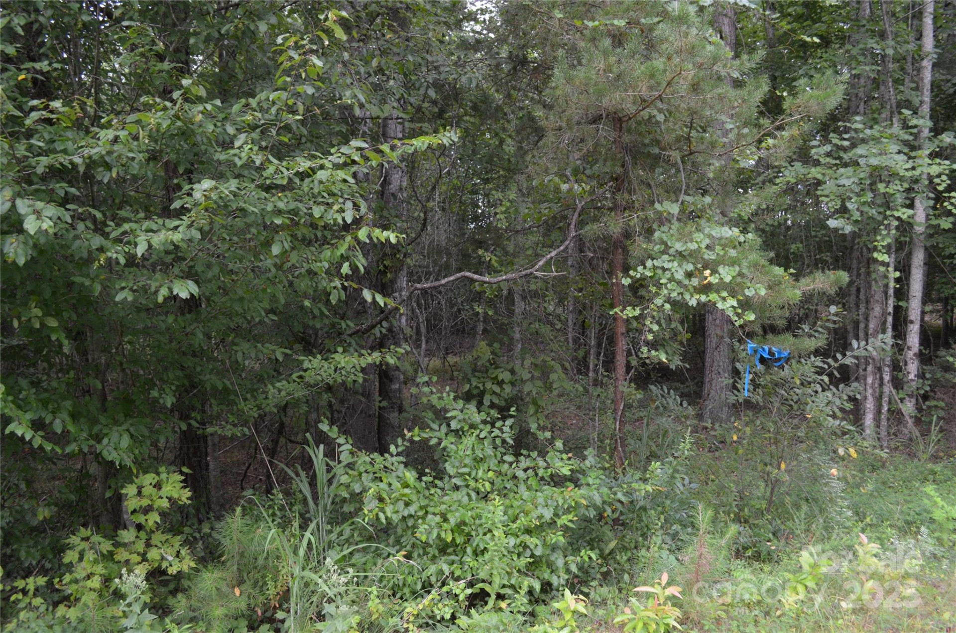 0 Old Morganton Road - Photo 9