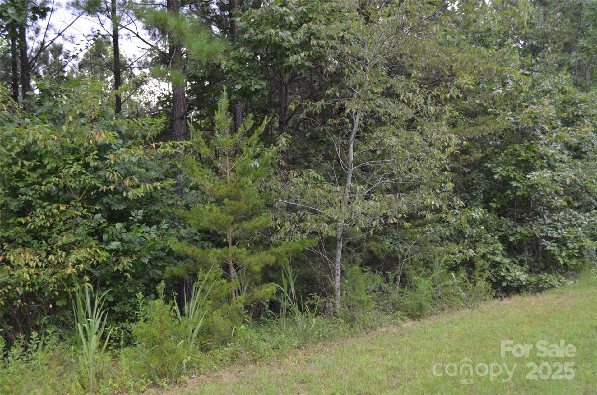 0 Old Morganton Road - Photo 10