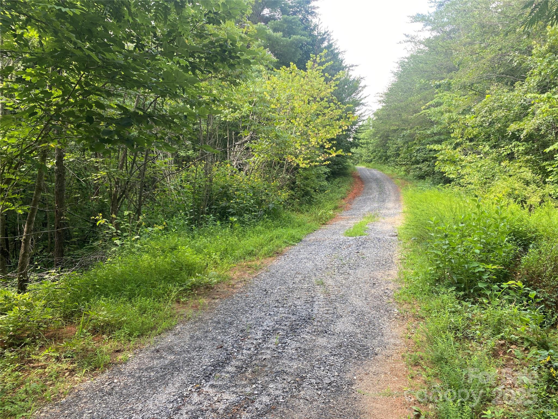 0 Camp McCall Road - Photo 13