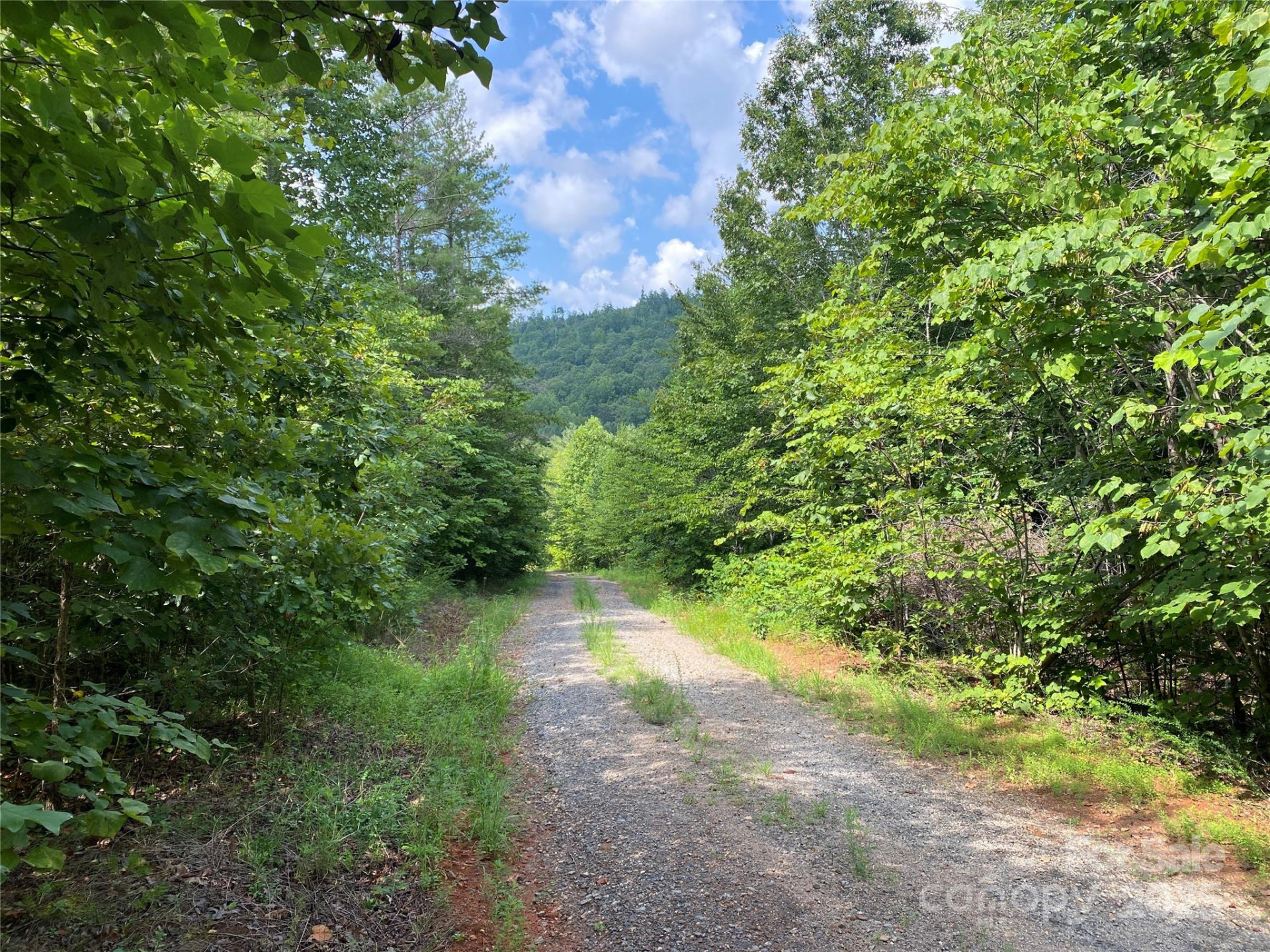 0 Camp McCall Road - Photo 14